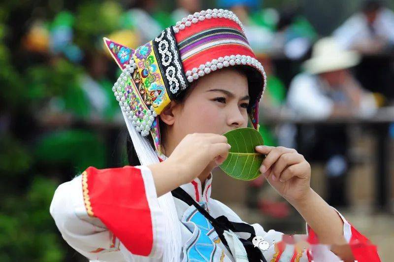 木叶声声笛声悠悠