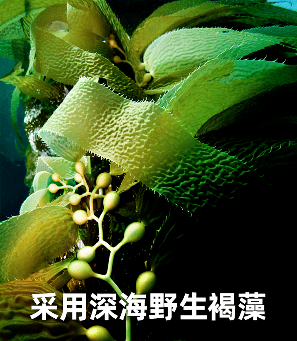 低卡0脂肪!好身材吃深海海藻晶粉