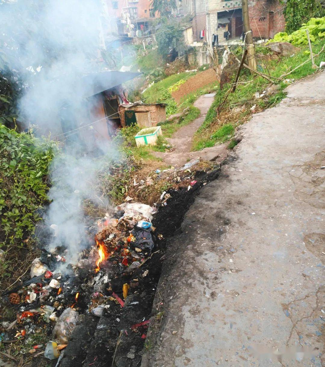 【曝光】巫山这几个小区有人露天焚烧垃圾致环境污染!_手机搜狐网