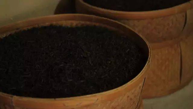大红袍为什么被称为“茶中之王,万病之药”!