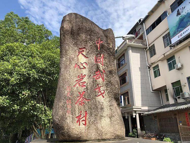 大红袍为什么被称为“茶中之王,万病之药”!
