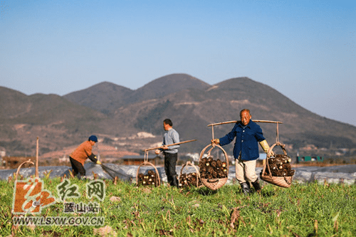 蓝山县雷家岭村人口_无标题