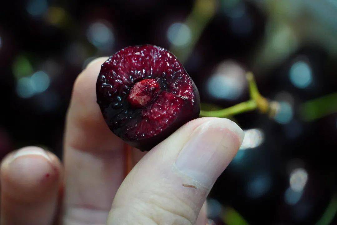 超实惠全城配送无需预约香甜智利lapins车厘子来袭128元享j级车厘子5