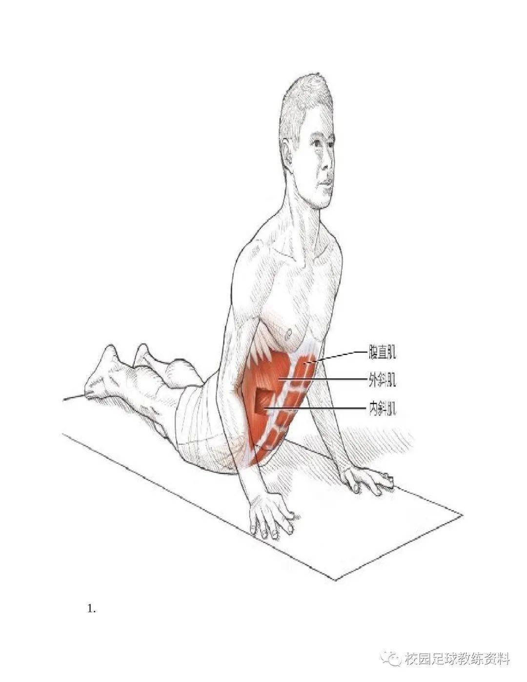 拉伸运动系统训练