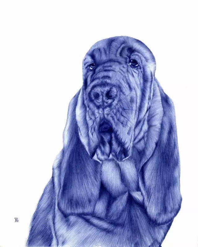 2块钱的圆珠笔也能画出逼真生动的作品