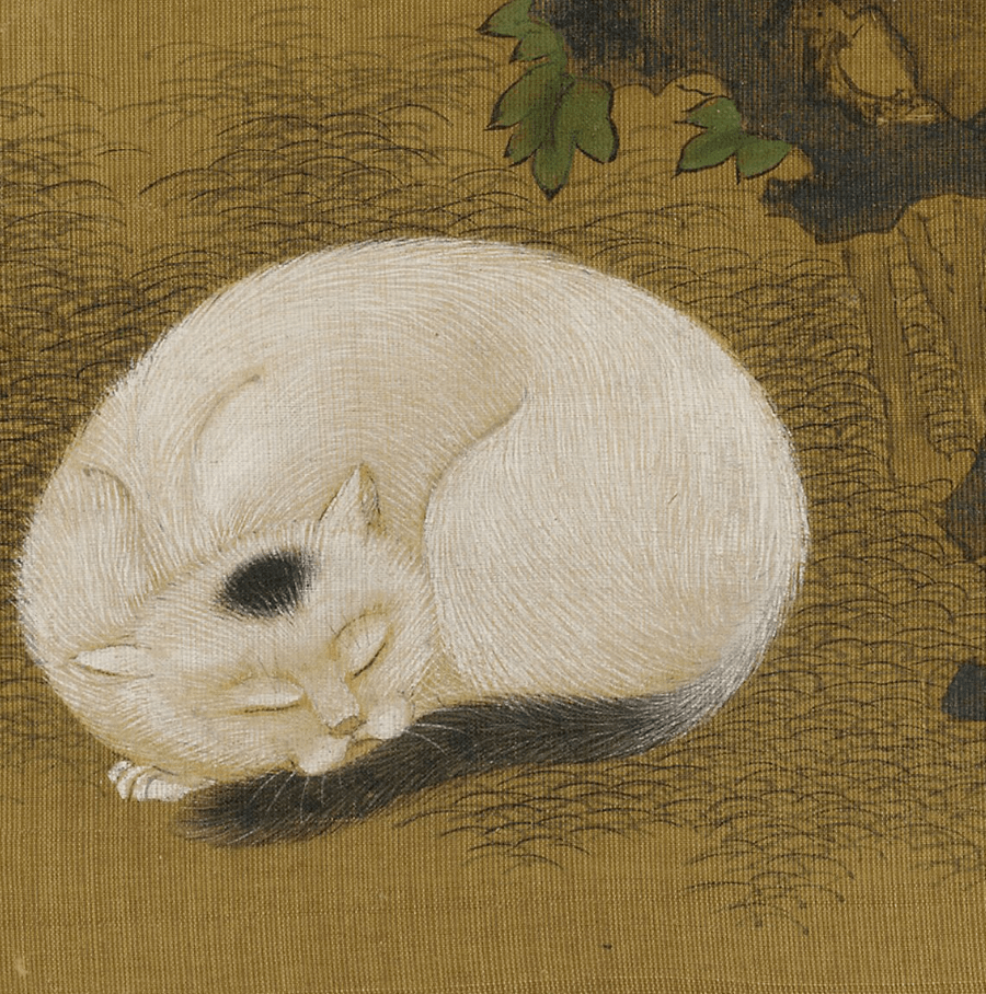 喜爱画猫的看过来