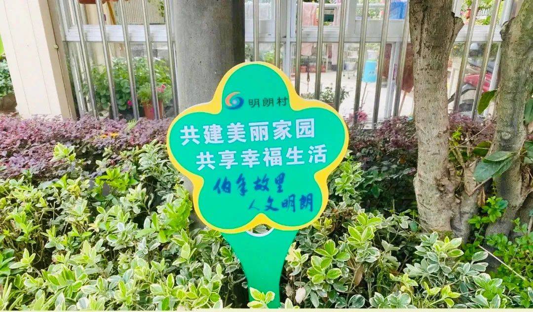 美丽家园美好生活瓜沥镇明朗村团结一心建设宜居美丽家园引领文明美丽