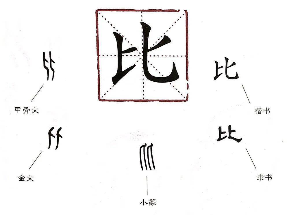 汉字娃娃丨图图姐姐带你了解汉字那些事儿——从,比_甲骨文