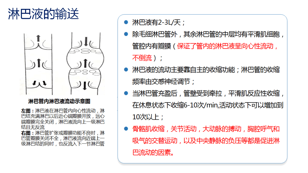周四讲堂上肢淋巴水肿治疗期功能锻炼