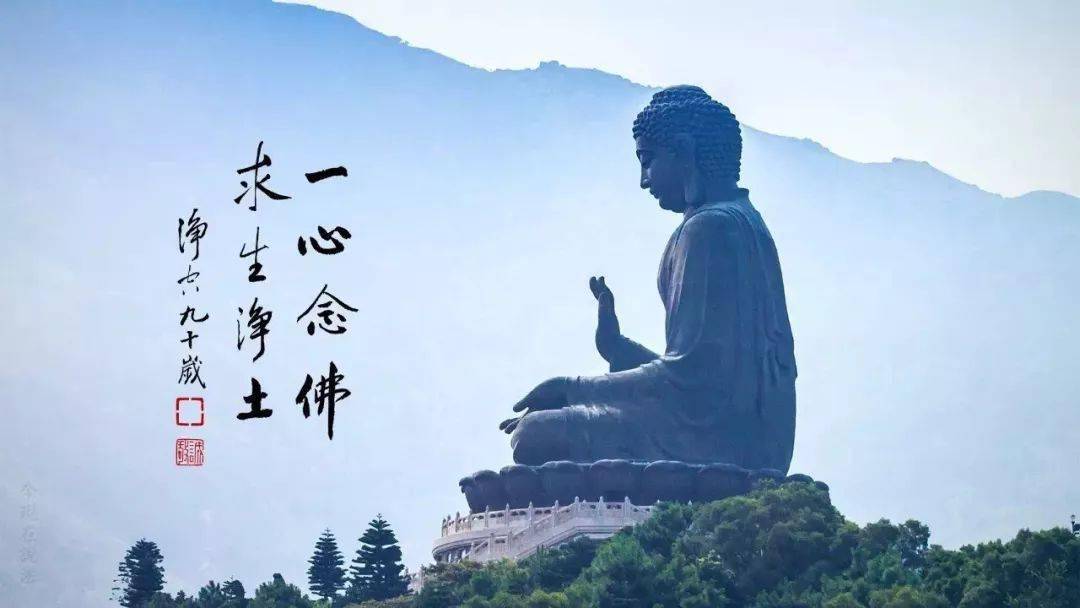 每日一禅佛教云有因必有果