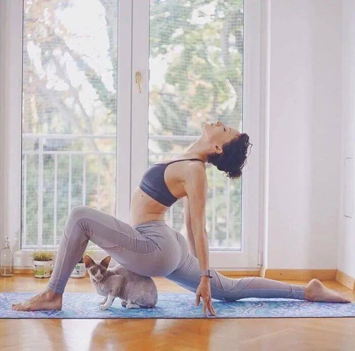 瑜伽五年前后的变化 12ba295b4d394387bbb7117697856f2a.jpeg