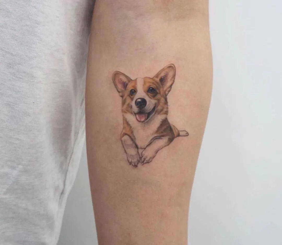 可可爱爱的短腿小柯基纹身