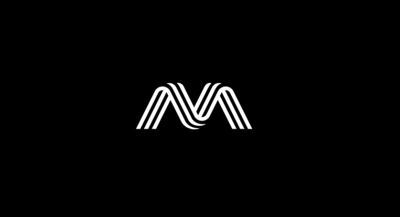 精选48款简约经典黑白色logo设计分享_朴琢
