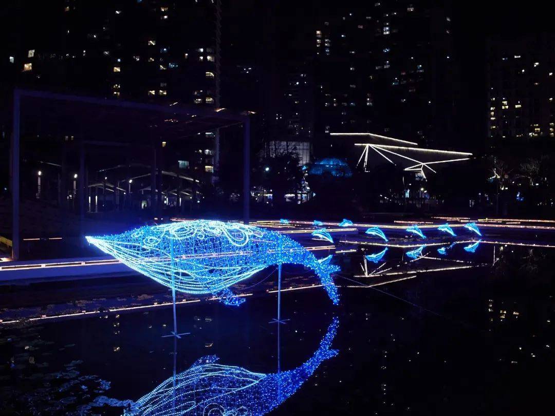 深圳国际光影艺术季我们都是城市的发光体