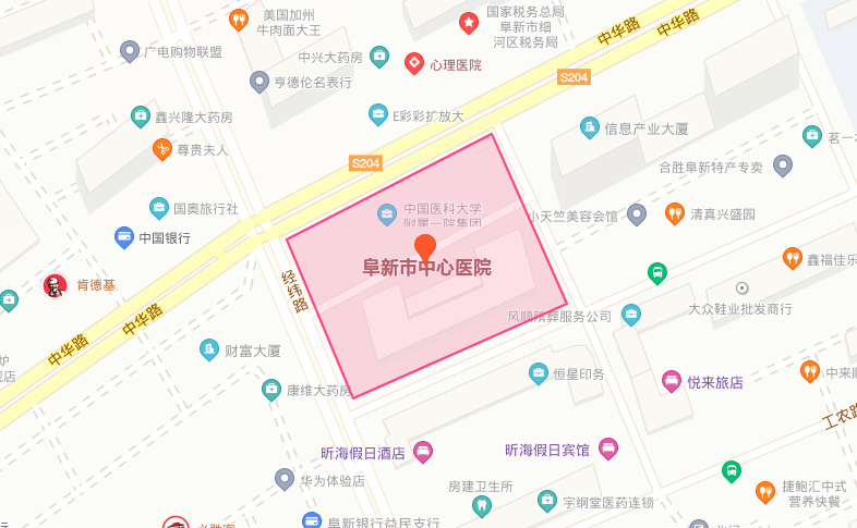 阜新市人口_阜新市地图(2)