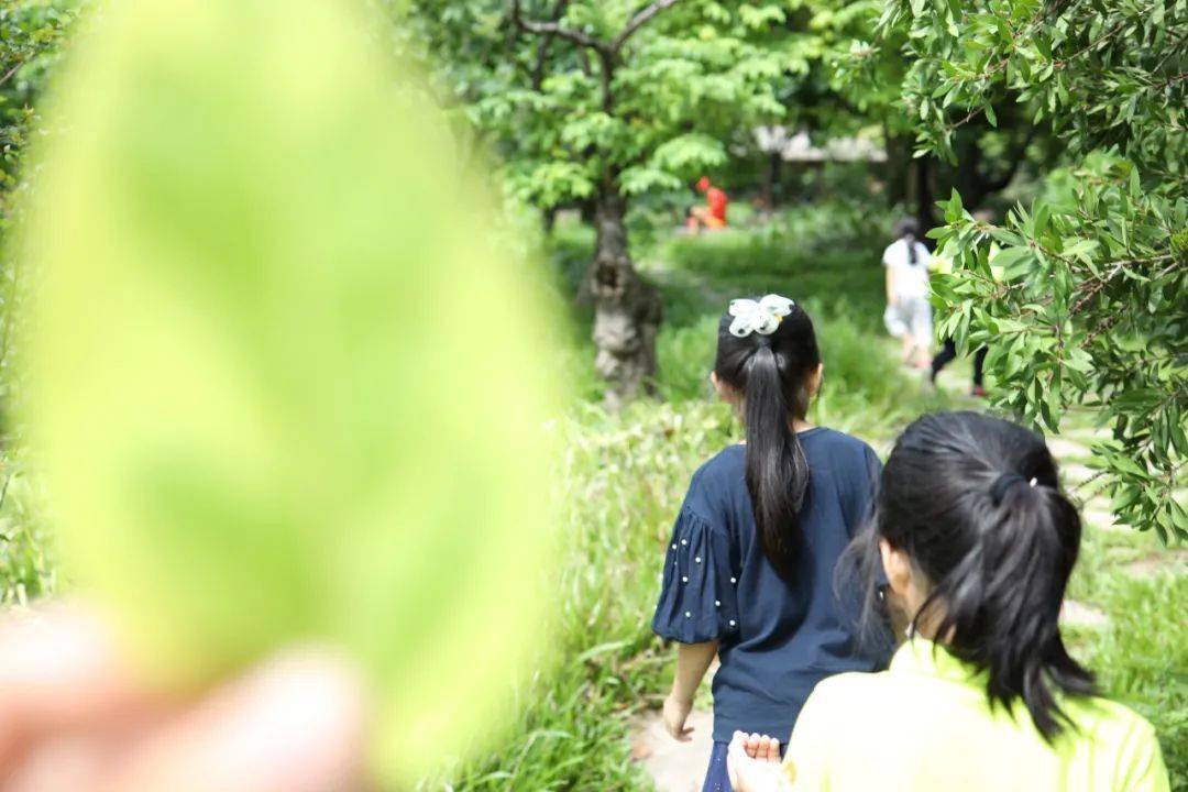 怎样做秘密花园 58263c49527d46988ea1b7f05a83ddc3.jpeg