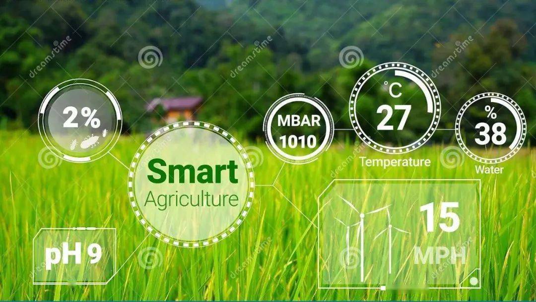 2021年数字农业助力乡村振兴战略的实施市场规模2000亿