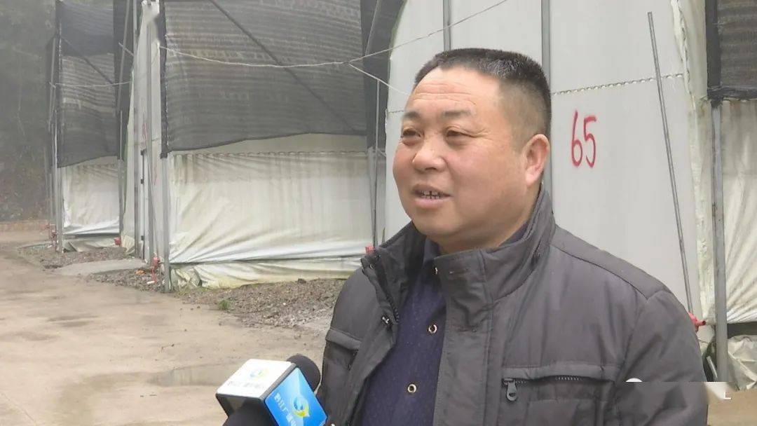 黔江区城南街道青坪社区党委副书记宋书君李家溪安置区一共布局了两个