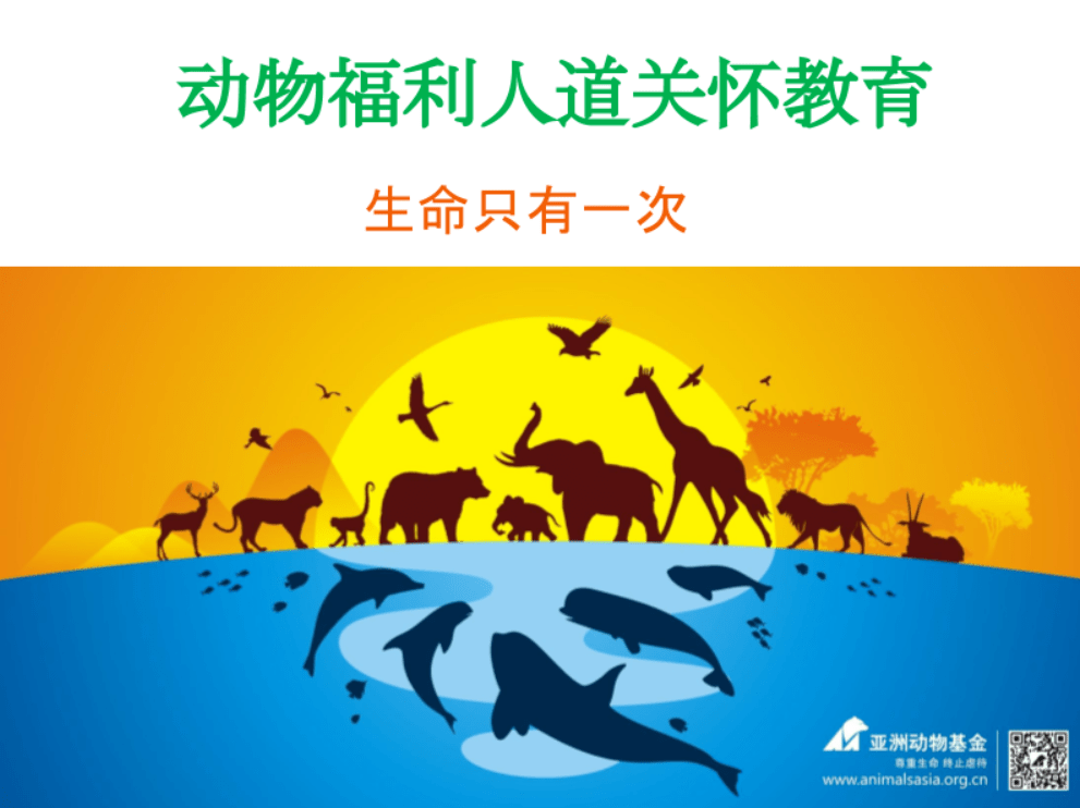 的传播,在全国开展动物福利课堂,让数千名中小学生了解动物福利的概念
