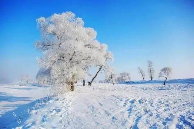 梦境与晨雾,解析梦见下雪后见白蒙蒙大雾的深层含义 梦境与晨雾,解析梦见下雪后见白蒙蒙大雾的深层含义