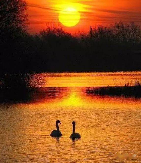 青山依旧在几度夕阳红美到骨子里说的真是太棒了道出了老年人的心声