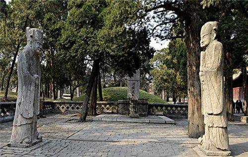 山东孔林有哪些古怪之处?乌鸦不栖蛇类远避,古人的智慧令人折服_孔子