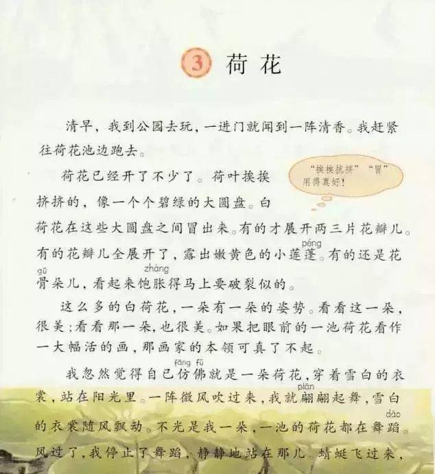 部编版荷花电子课本图片