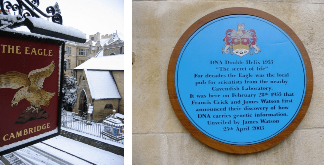 dna影子女士丨陈关荣67