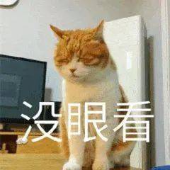 dd0d25f8801e4c5885d9d6e99cf973bd.jpeg