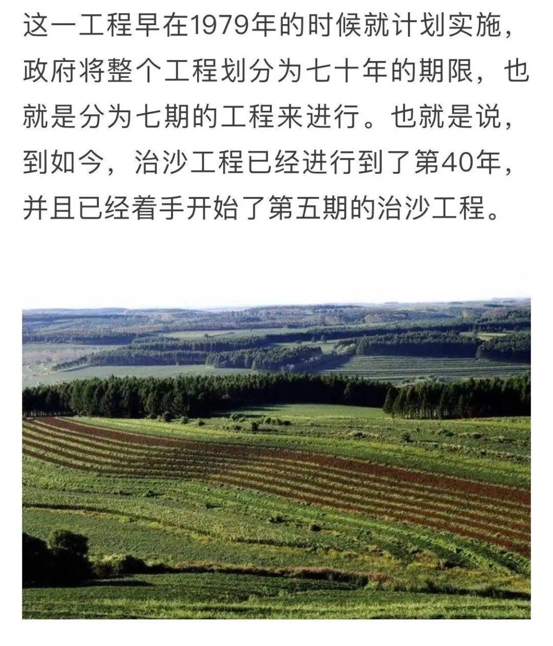 痛心万亩沙漠防护林被毁敦煌防沙最后屏障几近失守竟然是为了种葡萄