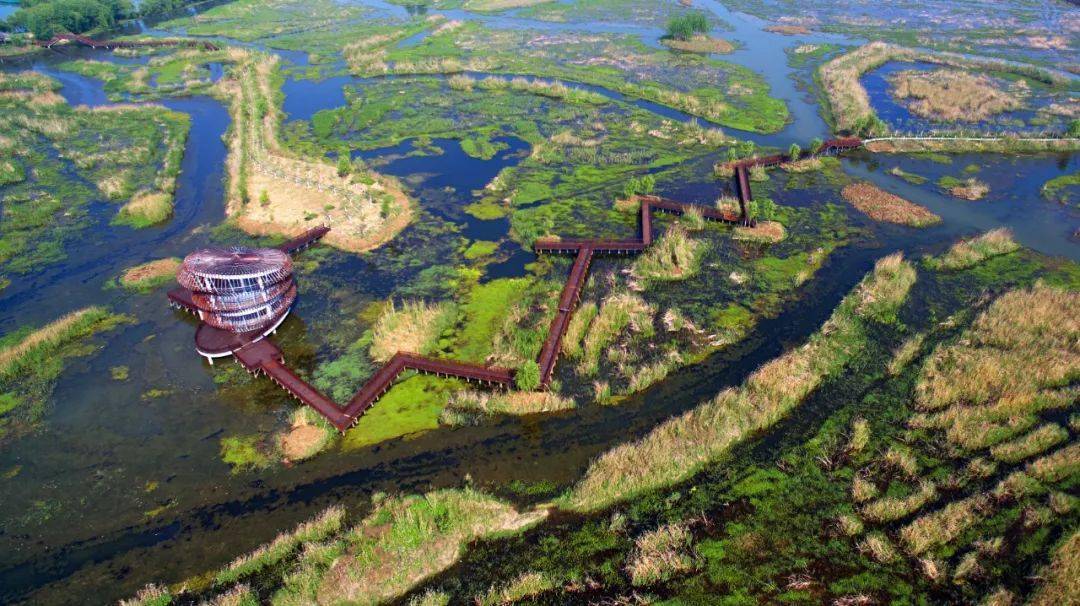 喜讯!今天泗洪洪泽湖湿地景区正式授牌为国家5a级旅游景区,宿迁唯一