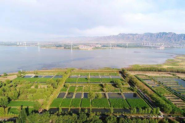 河北大名县肥乡区gdp_河北大名县图片(2)