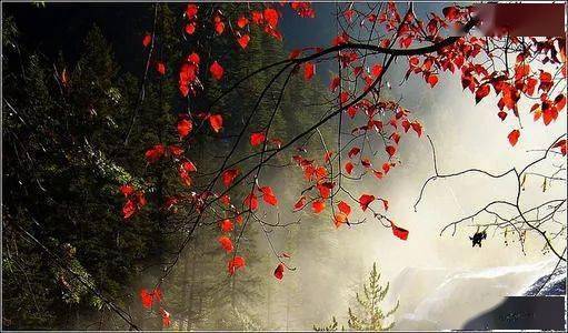 平常心叶天单挑 a93108cdd24248188f9e20c4435bc517.jpeg