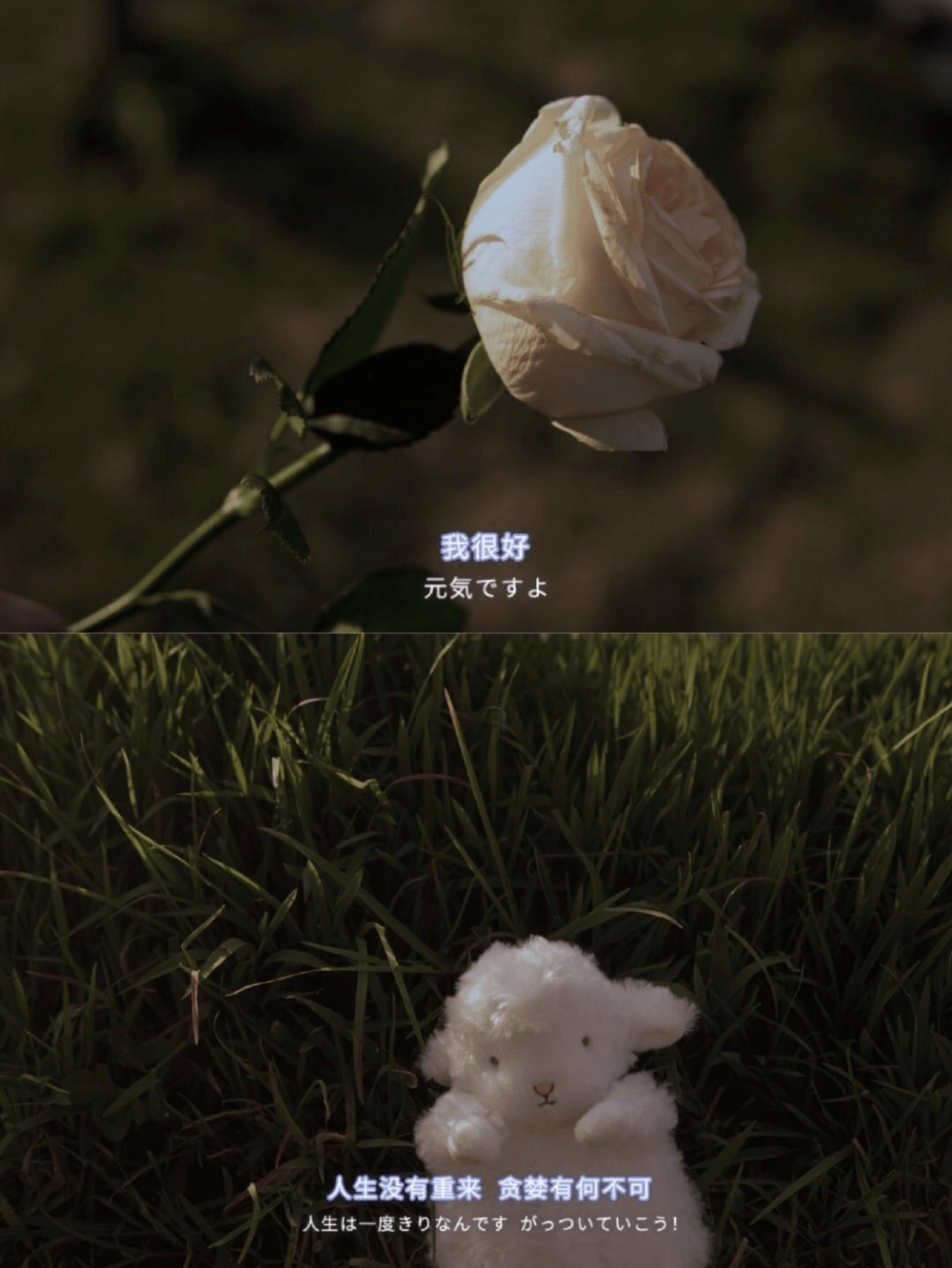 c321a4a33310492e91c325020d17c6ae.png