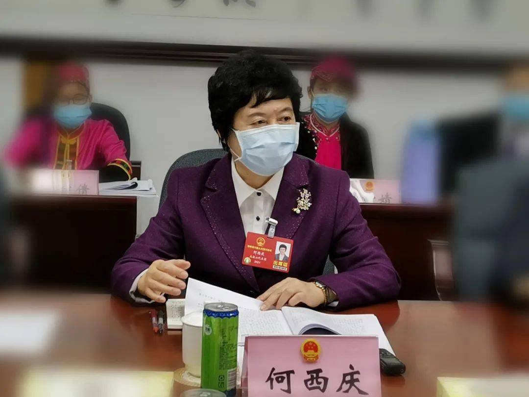 何西庆代表说:冯飞代省长作的政府工作报告令人振奋,凸显了站位高