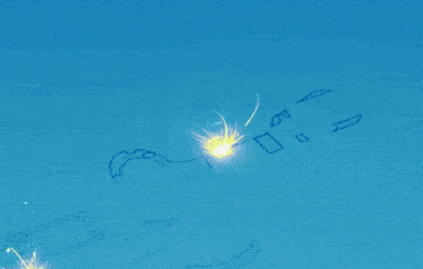 380_242gif 动态图 动图