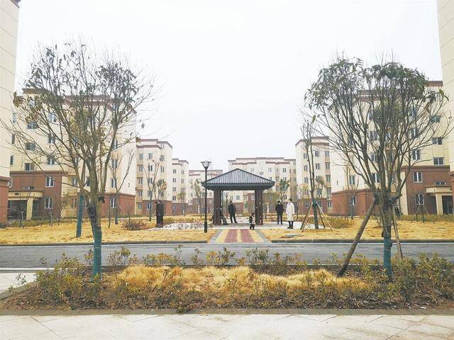 王家坝保庄圩移民安置小区一景.记者 安耀武 摄