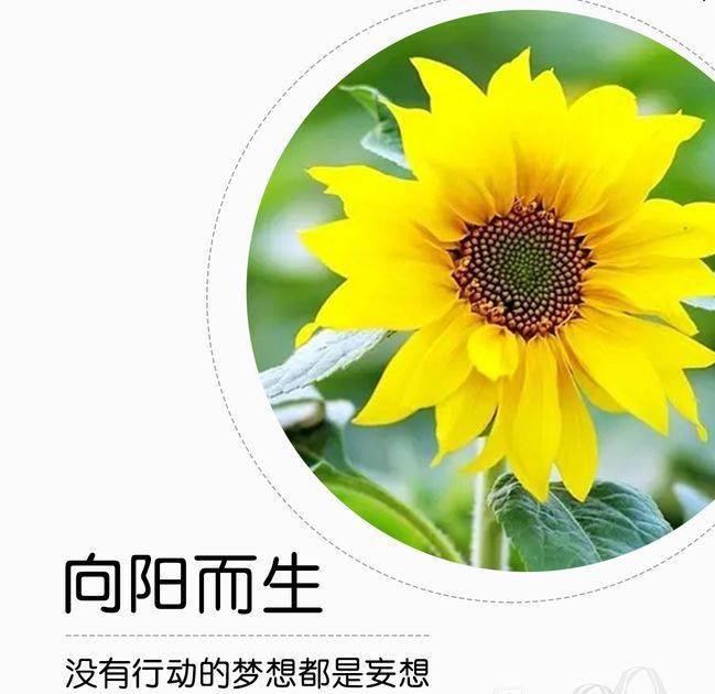 125早安新的一天新的开始