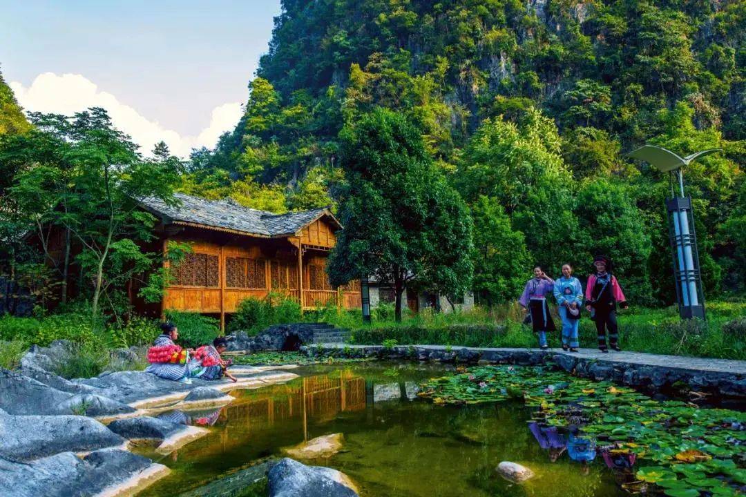 安顺旅游│花开别样红!走进中国最美休闲乡村龙宫桃子村