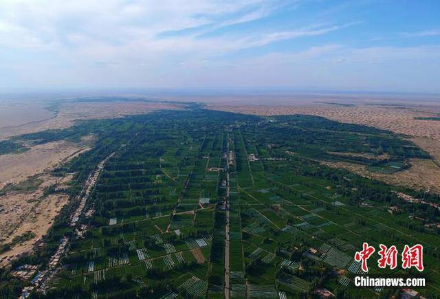 "阳关防护林被毁"调查通报:不存在威胁敦煌生态环境情况