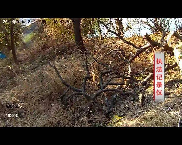 附视频 本来只要赔偿一次 一冲动 再赔偿一次 得不偿失啊 小伙子