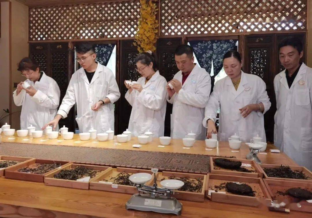 问茶高级评茶师招募