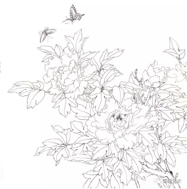 花开富贵工笔画法示范