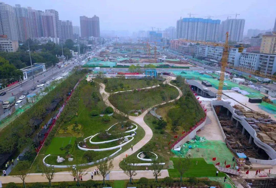 幸福林带7月1日"亮相"