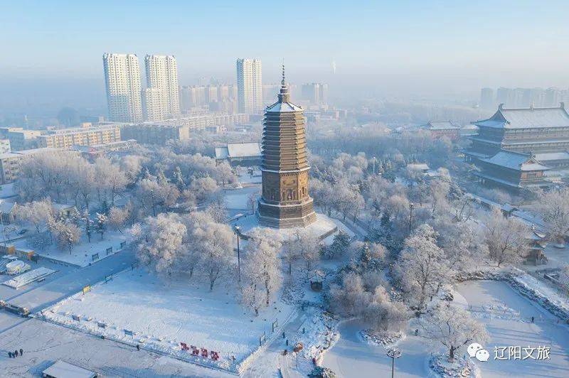 河堤雪柳玉树琼花浓雾散尽的辽阳惊现如幻仙境