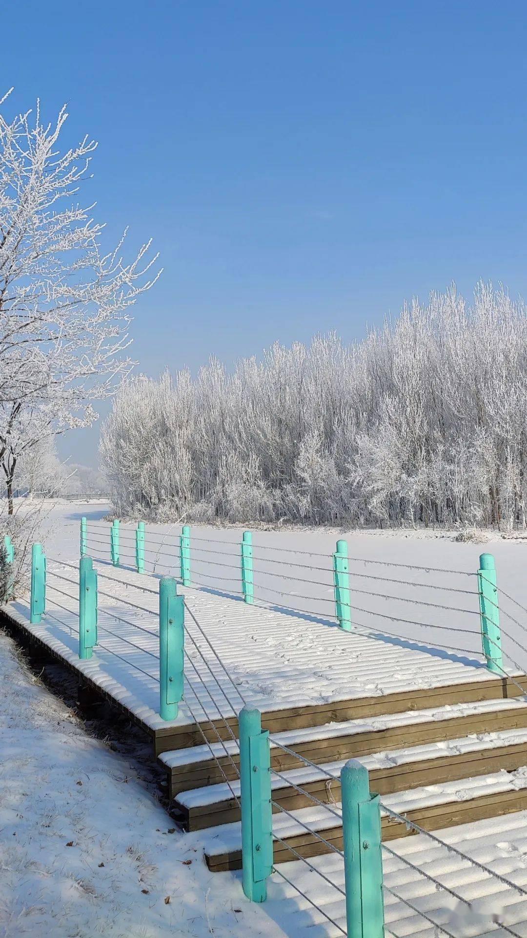 美景还在,没来得及拍照的你还有机会哦~不过小薇要提醒大家:雪天路