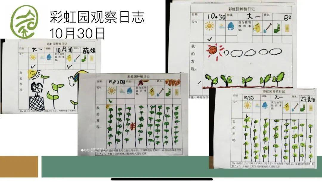 韭菜种植记录表图片