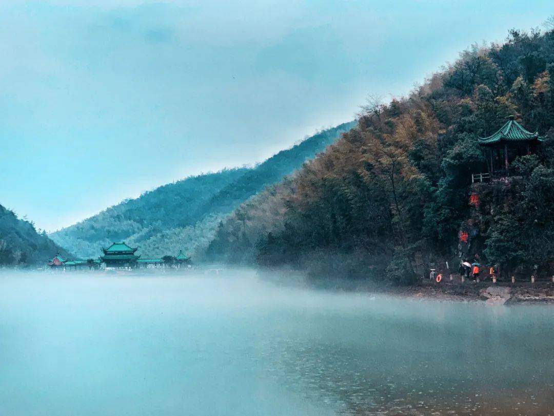 五"韵"宜兴竹海,岁末行游暖时光_竹林