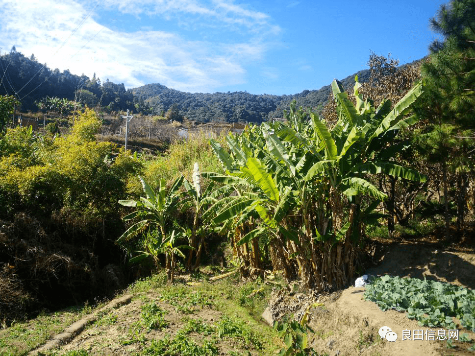 揭西有个叫"阿玛硿"的地方,这里峡谷幽深,悬崖陡险,风景迤逦!