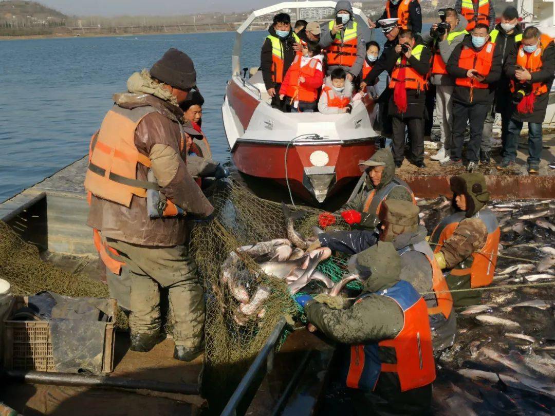 2021年第一网鱼成功捞起陆浑水库开渔啦!刚刚(点击文字链接